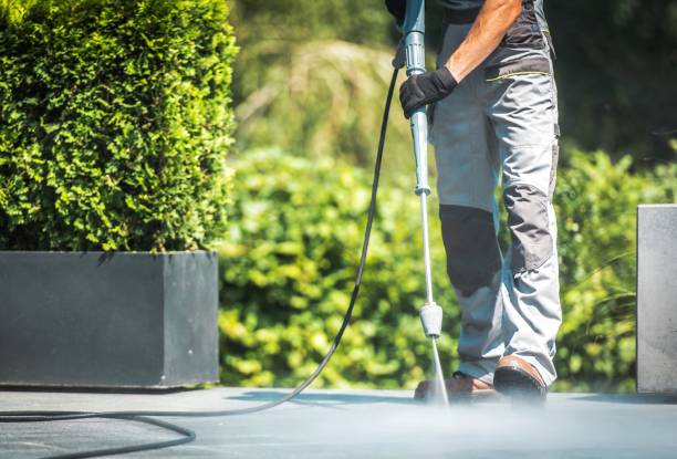 Animal Enclosure Cleaning in Montegut, LA